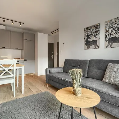 Munn 4 Apartment Szczecin