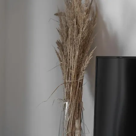 Apartment Munn 4 Szczecin